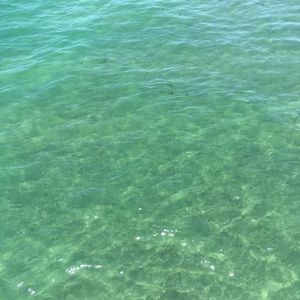 Meet your Posher, Johnny bravo